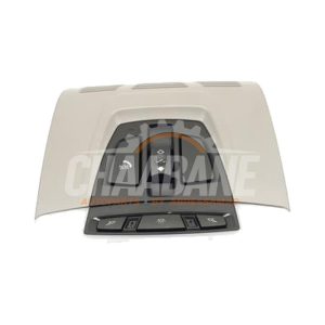 Eclairage interieur avant 1620210560 BMW X1 (F48) sDrive 20i 2.0 16V Twin Power Turbo 2014 / 2022