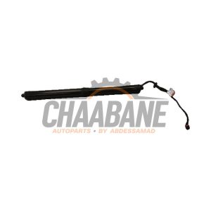 Amortisseur a gaz arriere gauche T2R68844 Jaguar F-type 2.0 Turbo 16V