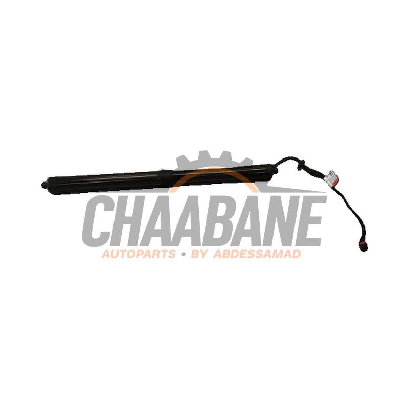 Amortisseur a gaz arriere gauche T2R68844 Jaguar F-type 2.0 Turbo 16V