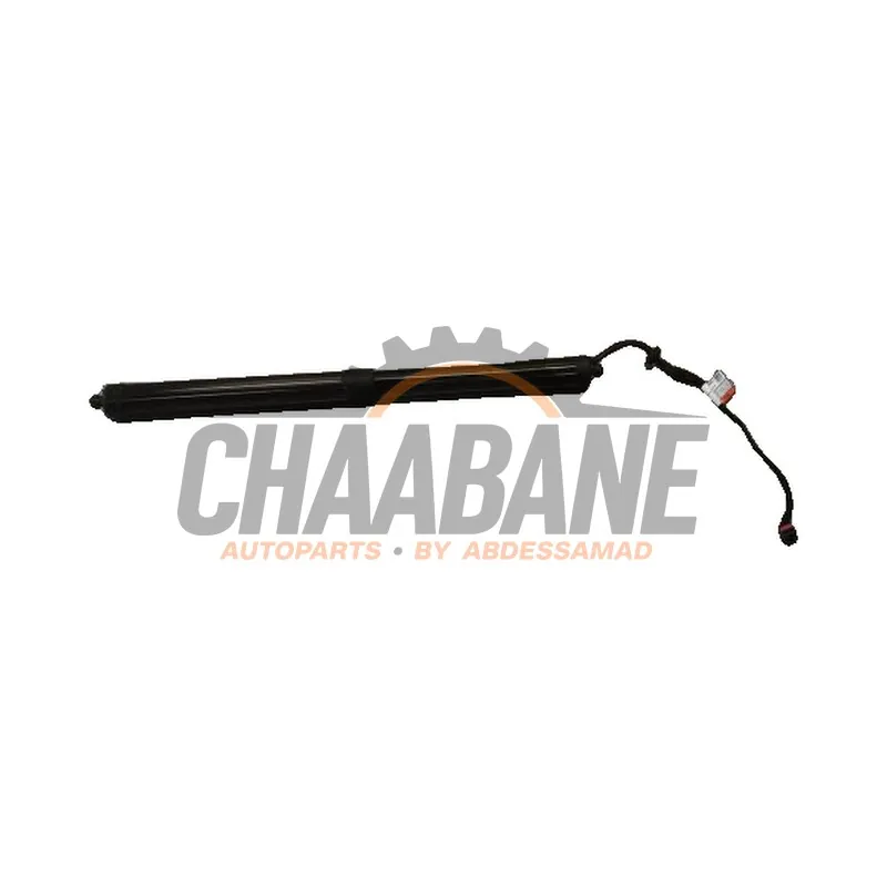Amortisseur a gaz arriere gauche T2R68844 Jaguar F-type 2.0 Turbo 16V