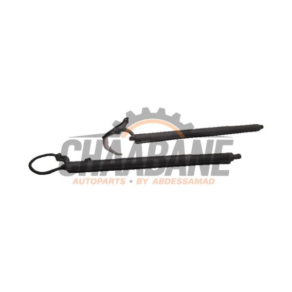 Kit amortisseur couvercle coffre 80F827851A Audi Q5 Sportback (FYS/FYT) 2.0 35 TDI Mild hybrid 16V 2020