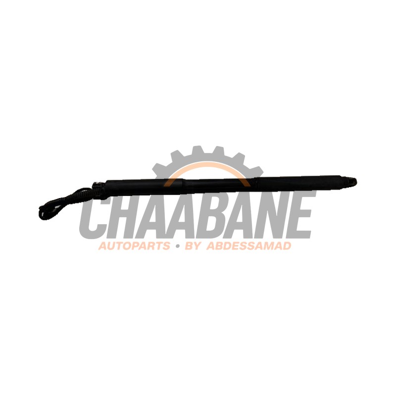 Amortisseur a gaz arriere gauche 726315508 BMW 3 serie Touring (F31) 318d 2.0 16V 2012 / 2019