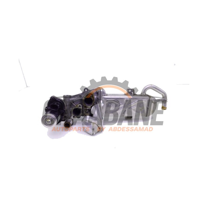 Valve RGE 03L131512CF Volkswagen Caddy Alltrack Combi 1.6 TDI 16V 2015 / 2020