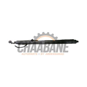 Amortisseur a gaz arriere droit LR159595 Landrover Range Rover IV (LG) 3.0 TDV6 24V