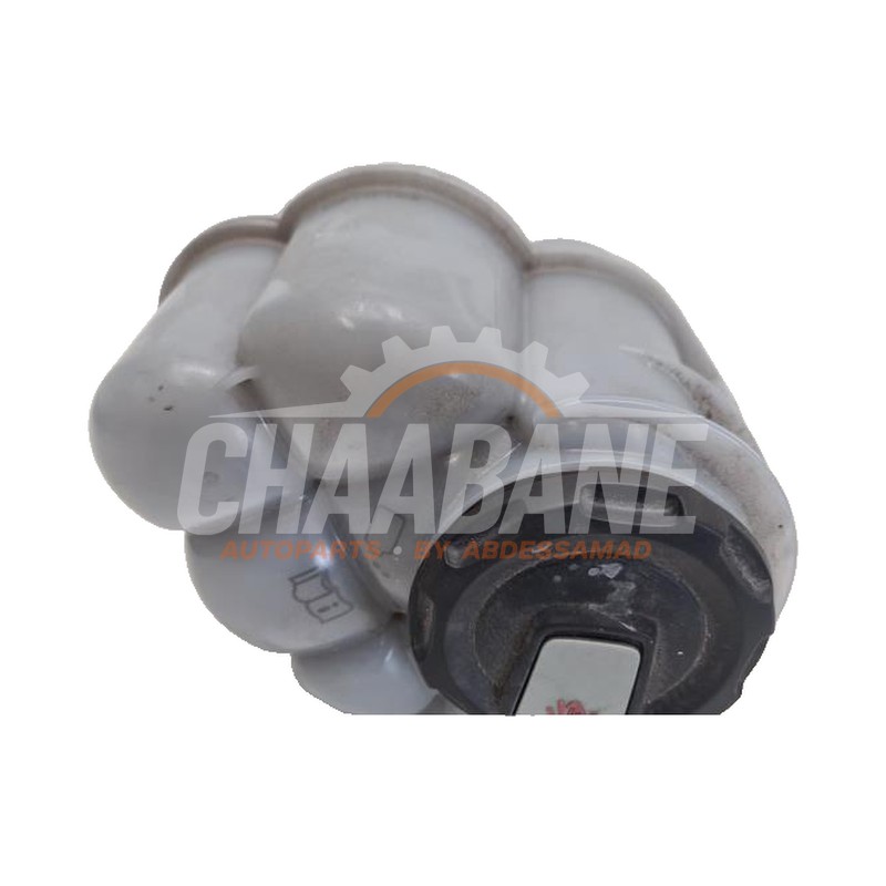 Reservoir dexpansion 8W1121405K Audi S4 Avant (B9) 3.0 TDI V6 24V Mild hybrid 2016