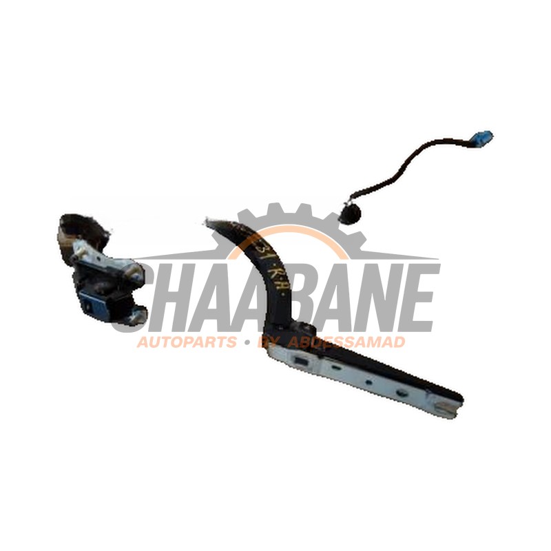 Amortisseur a gaz arriere droit 51248499572 BMW 7-Serie 2015 / 2022