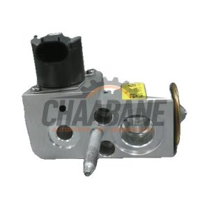 Valve dexpansion clim 64507951456 BMW X3 2017