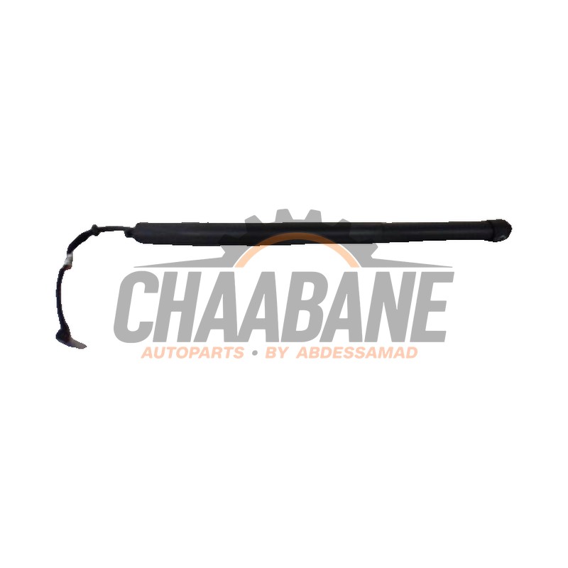 Amortisseur a gaz arriere gauche LR166797 Landrover Range Rover Velar (LY) 2.0 D180 AWD