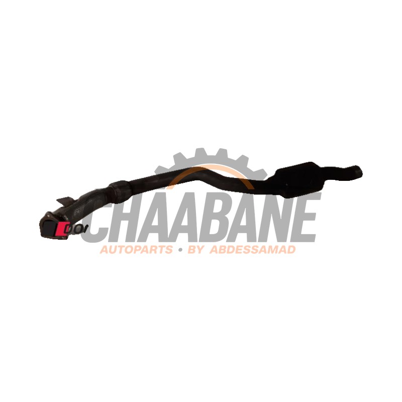 Tube echappement avant 8W0253350BM Audi RS 4 Avant (B9) 2.9 V6 TFSI 24V 2017