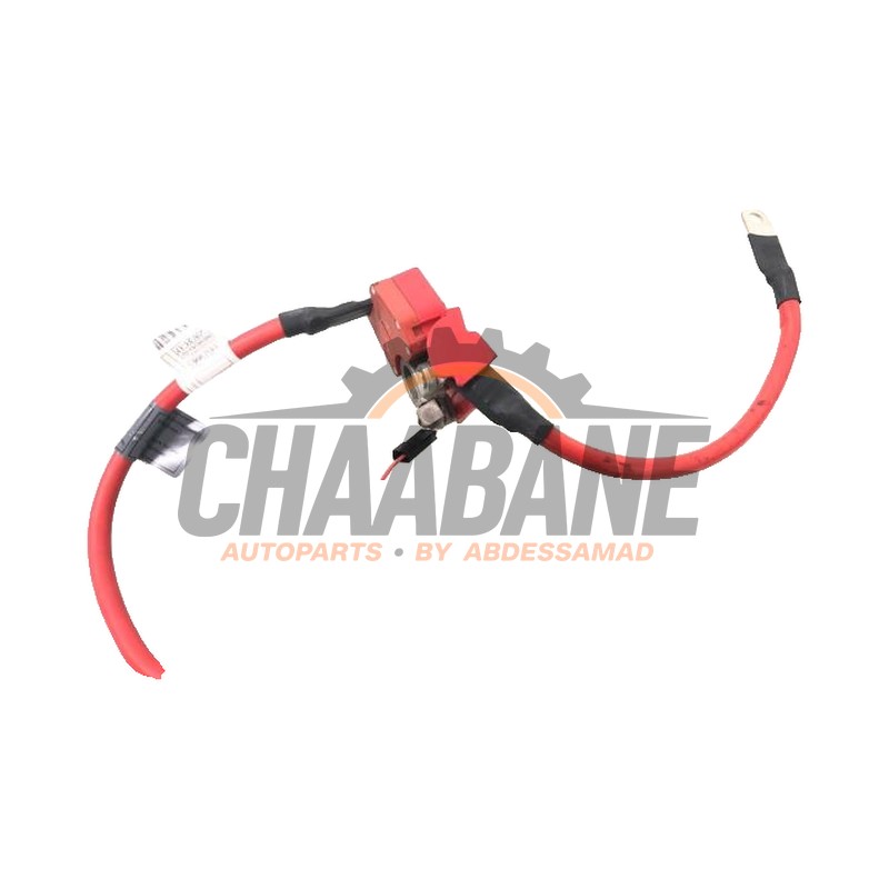 Capteur de batterie 10304410 BMW 3 serie Touring (F31) 318i 1.5 TwinPower Turbo 12V 2012 / 2019