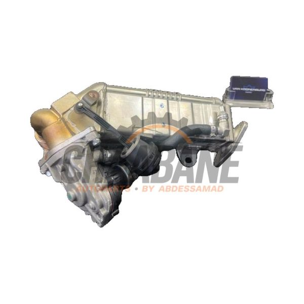 Valve RGE 4745809 BMW 7 serie (G11/12) 730d,Ld 24V 2015 / 2022