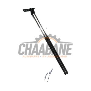Amortisseur capot moteur gauche 420823359 Audi R8 2015