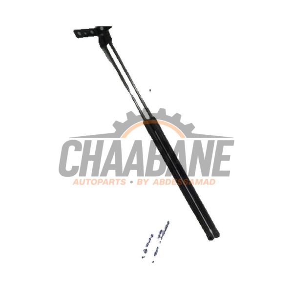 Amortisseur capot moteur gauche 420823359 Audi R8 2015