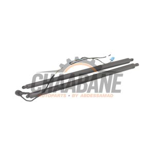 Kit amortisseur gaz hayon A1569800764 Mercedes GLA (156.9) 2.2 220 d 16V 4-Matic