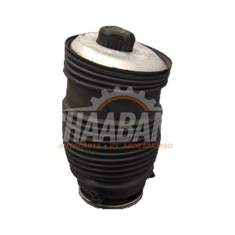 Amortisseur a air comprime A2053200225 Mercedes EQC (N293) 400 4-Matic