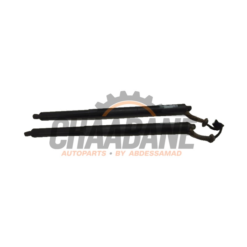 Verin de coffre 7350837 BMW X1 (F48) sDrive 18d 2.0 16V 2014 / 2022