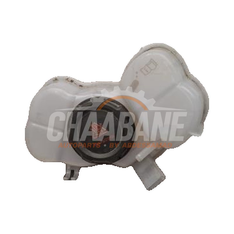 Vase dexpansion 1EA121407H Audi Q4 Sportback (4FN) 45 e-tron 82 kWh 2021