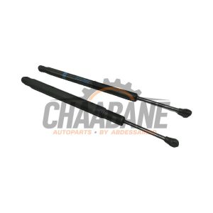 Amortisseur capot moteur gauche A1679800000 Mercedes GLE