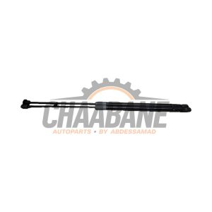 Amortisseur kit capot moteur A1729800064 Mercedes SLC (R172) 2.1 250 d 16V
