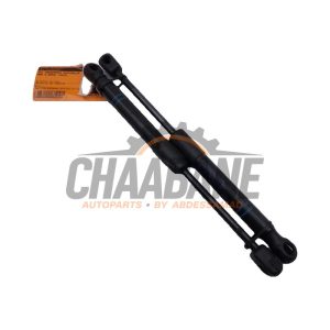 Verin de coffre 51237239233 BMW 3 serie Touring (F31) 320d 2.0 16V 2012 / 2019