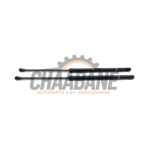 Kit amortisseur gaz hayon 5H6827550K Volkswagen Golf VIII (CD1) 2.0 TDI BlueMotion 16V 2019