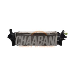 Intercooler 17518584127 BMW X5 (G05) xDrive 25d 2.0 16V 2018