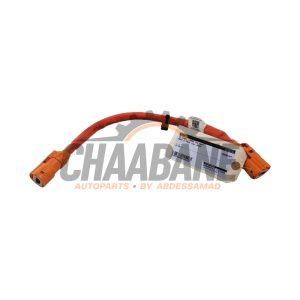 Cable haute tension 9J1971059A Audi RS e-tron GT (F83) 93 kWh 2021