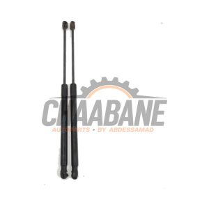 Kit amortisseur couvercle coffre 22222 Audi S6 Avant (C7) 4.0 V8 TFSI 2012 / 2018