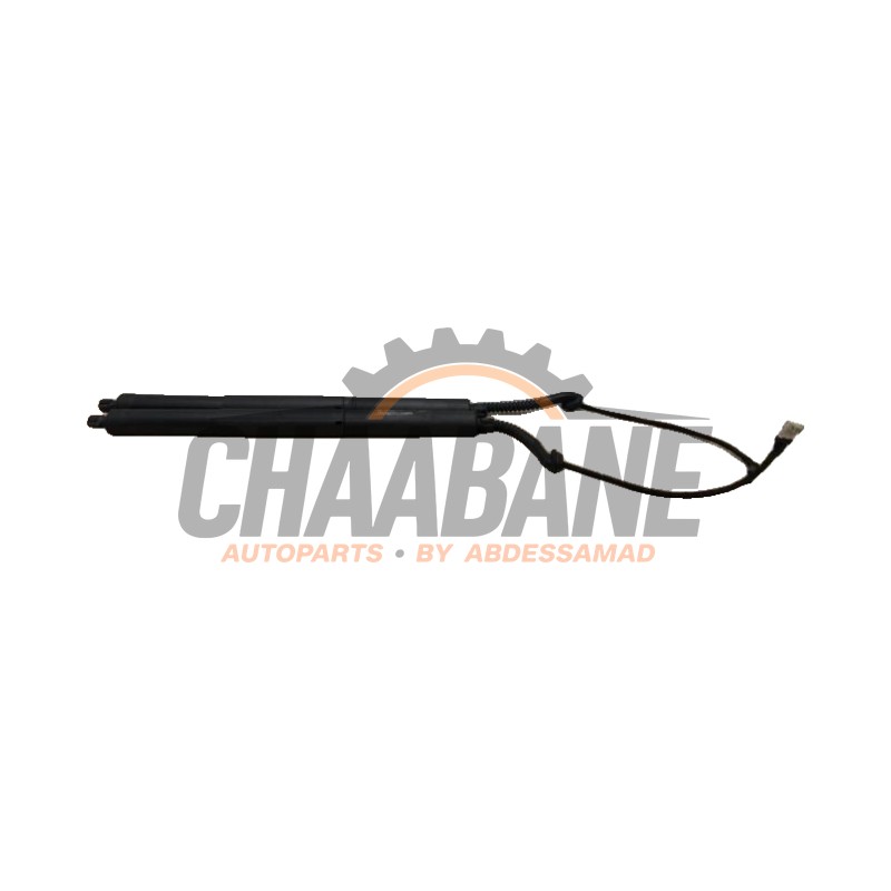 Kit amortisseur couvercle coffre 7294469 BMW X5 (F15) xDrive 50i 4.4 V8 32V 2013 / 2018