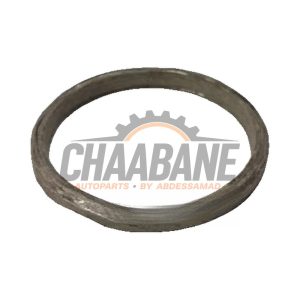 Joint tubulure dechappement 0P2145039A Audi RS 6 Avant (C8) 2019