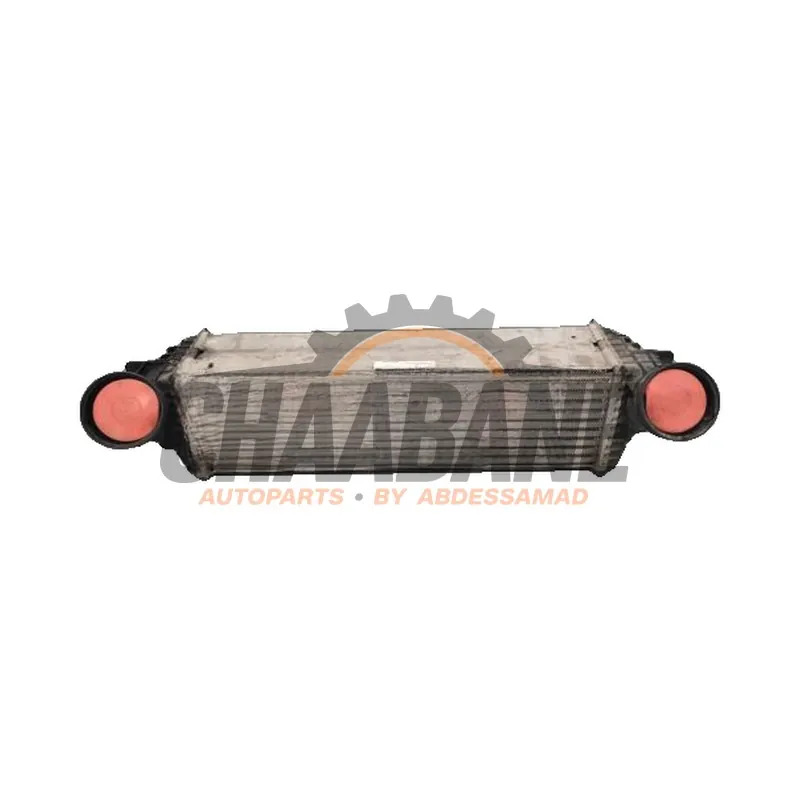 Intercooler 17517809321 BMW X5 2013 / 2018