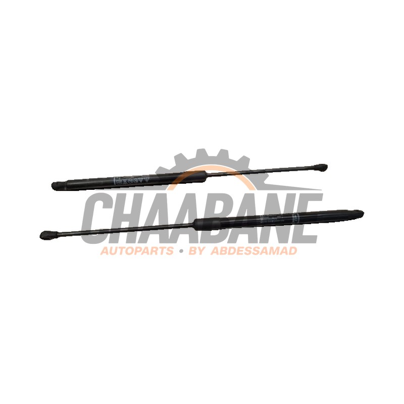 Kit amortisseur couvercle coffre 4K98277552C Audi RS 6 Avant (C8) 4.0 V8 TFSI Mild Hybrid 32V 2019