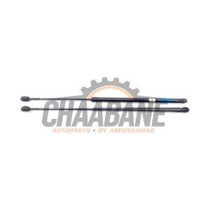 Verin de coffre A1669801964 Mercedes GLE (W166) 250d 2.0