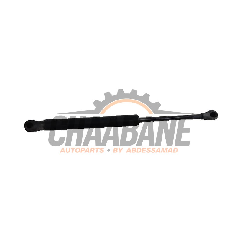 Amortisseur a gaz arriere droit BMW Z4 2018