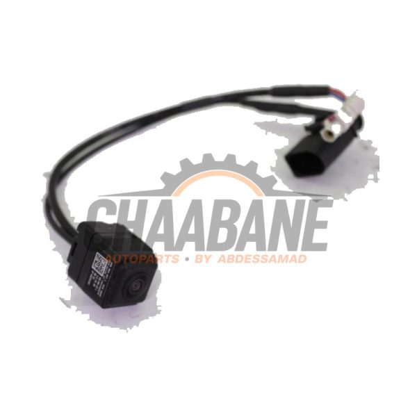 Camera de recul 95B980551L Porsche 718 Cayman (982) 4.0 GT4 2016
