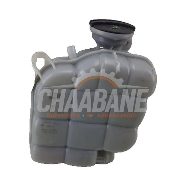 Vase dexpansion 9J1121407A Audi RS e-tron GT (F83) 93 kWh 2021