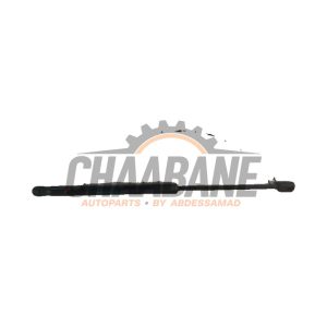 Amortisseur capot moteur gauche 51237329410 BMW X1 (F48) xDrive 25e 1.5 12V TwinPower Turbo 2014 / 2022