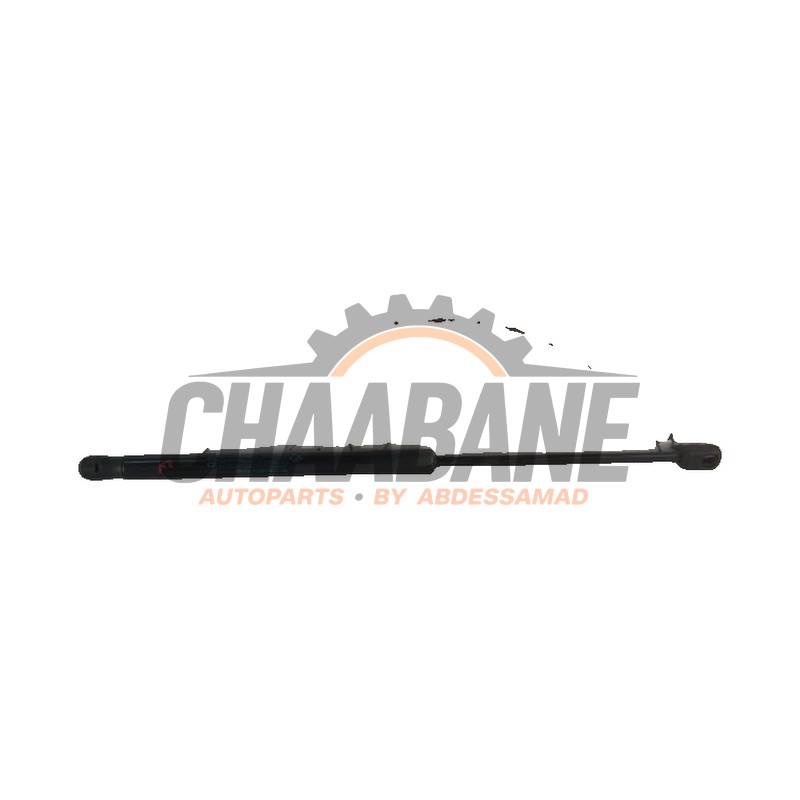 Amortisseur capot moteur gauche 51237329410 BMW X1 (F48) xDrive 25e 1.5 12V TwinPower Turbo 2014 / 2022