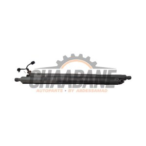 Verin de coffre 51249482775 BMW X2 (F39) xDrive 25e 1.5 12V TwinPower Turbo 2017 / 2023