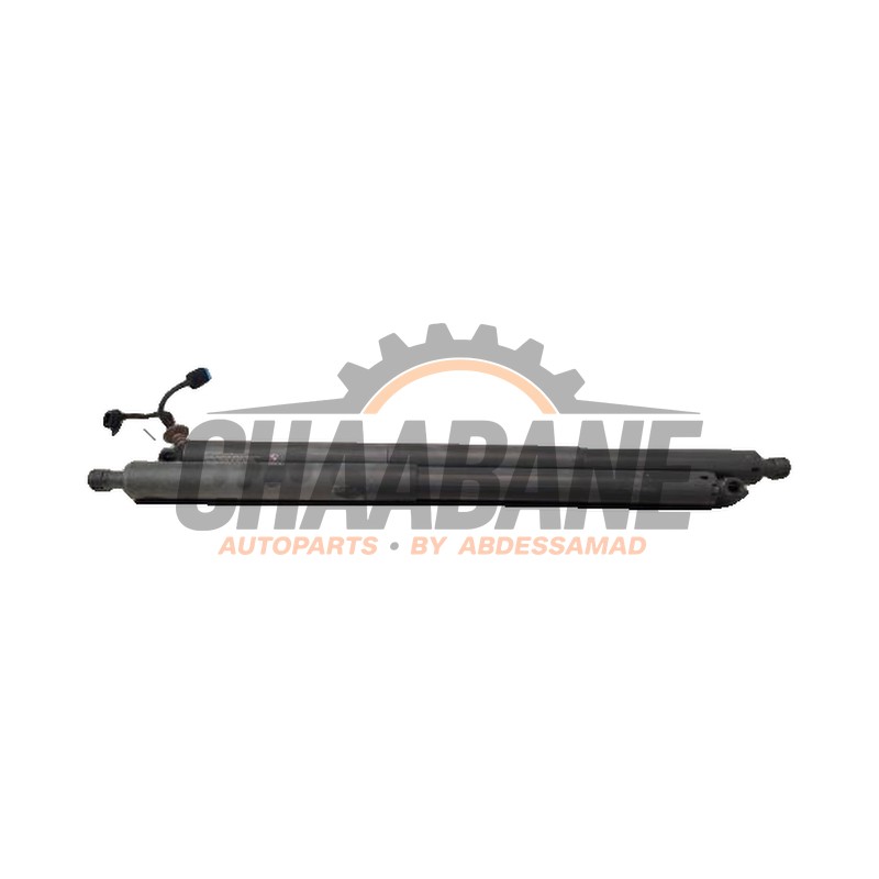 Verin de coffre 51249482775 BMW X2 (F39) xDrive 25e 1.5 12V TwinPower Turbo 2017 / 2023