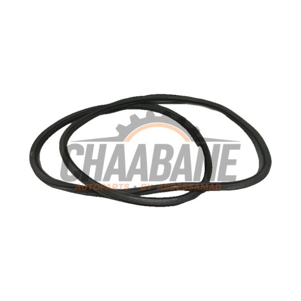Joint caoutchouc portiere 4portes arriere gauche 5TA867913G Volkswagen Touran 2015