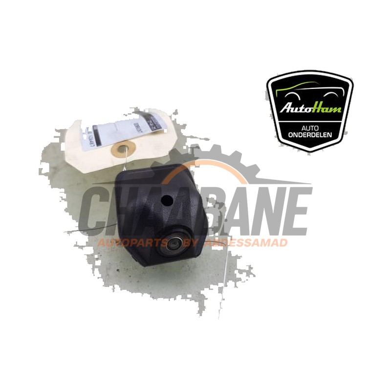 Camera de recul 66535A0F6D7 BMW X4M (F98) 3.0 TwinPower Turbo 24V Competition 2019