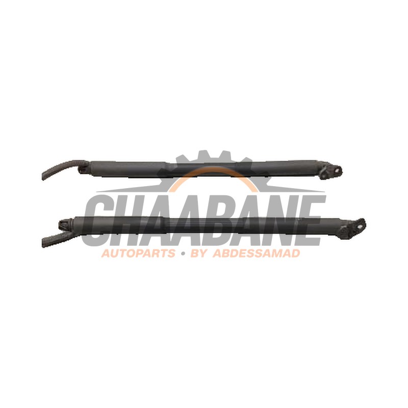 Kit amortisseur couvercle coffre 726315608 BMW 3 serie Touring (F31) 320d 2.0 16V 2012 / 2019
