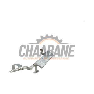 Tube deau 07K121497H Audi RS 3 Sportback (8YA) 2.5 TFSI 20V Quattro 2021