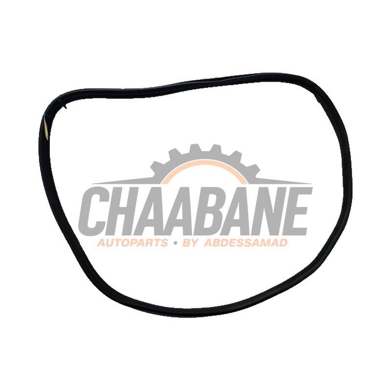 Joint caoutchouc portiere 4portes arriere gauche 51729854727 BMW iX (I20) xDrive40 77 kWh 2021