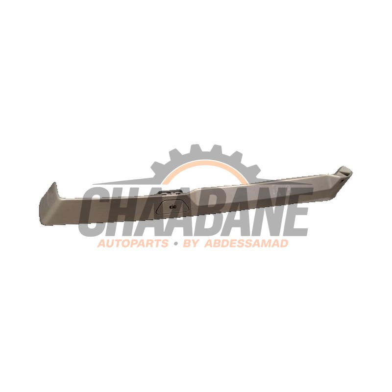 Bande decorative 61315A21BB8 BMW iX (I20) xDrive40 77 kWh 2021