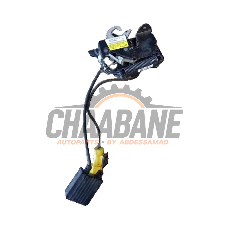 Mecanique de verrouillage capot 13989610 BMW X1 (F48) sDrive 18i 1.5 12V TwinPower Turbo 2014 / 2022