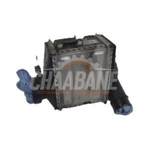 Echangeur air (Intercooler) A6510901800 Mercedes C-Klasse