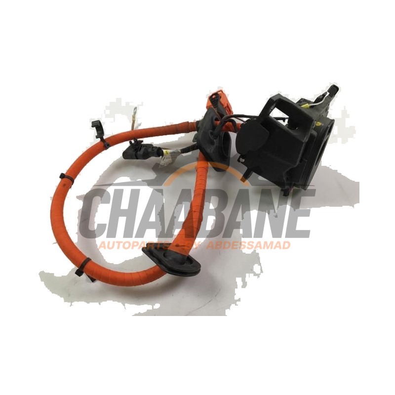 Cable de recharge hybride 4KE907175A Audi E-Tron 2018