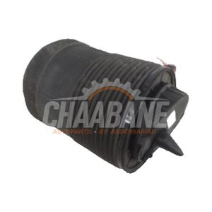 Coussin pneumatique 4M0616002AD Audi E-Tron 2019